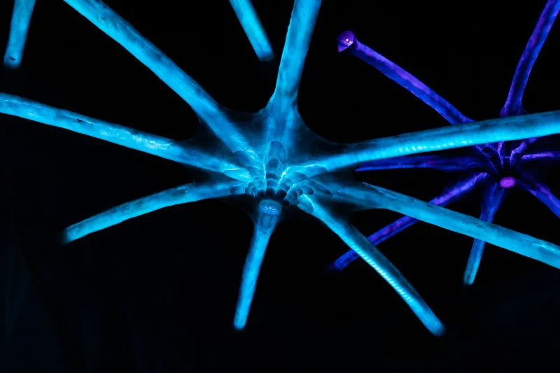 Alive and Glowing: The Scientists and Artists Engineering Light That Actually Breathes